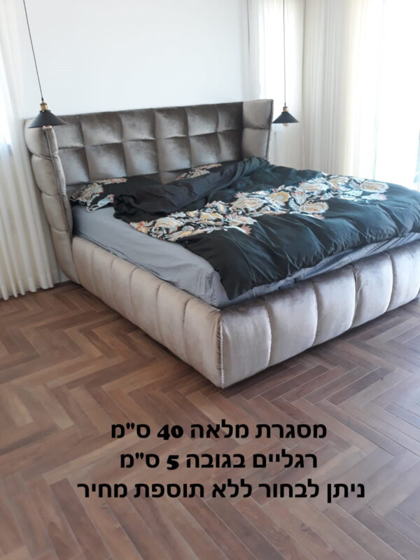 זיו מסגרת מלאה